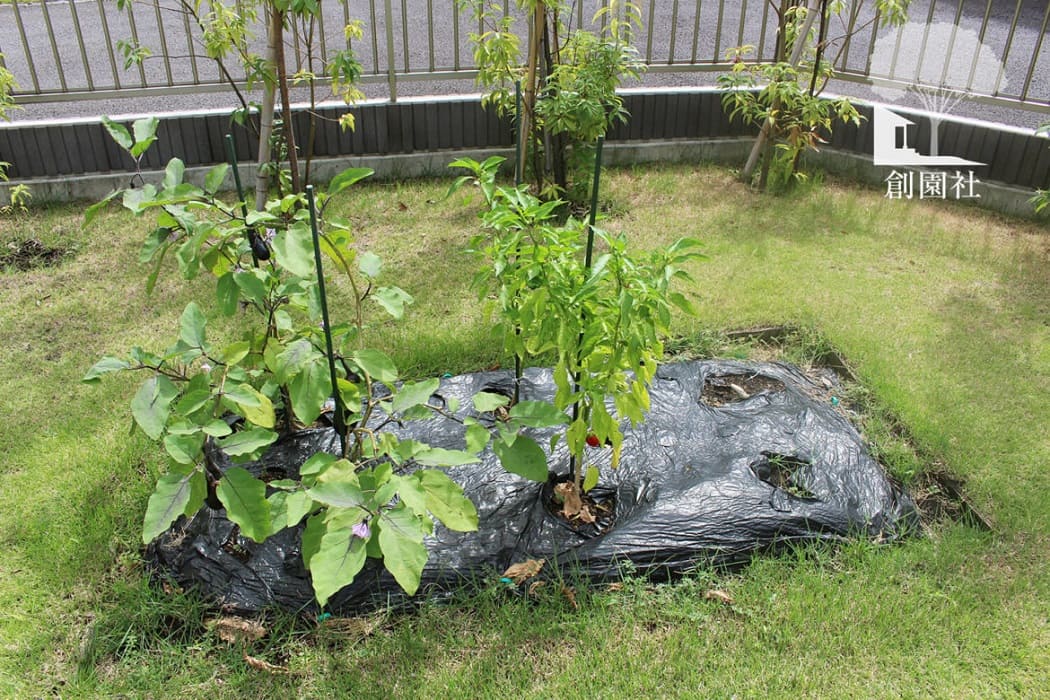 高崎市　家庭菜園　ポタジェ