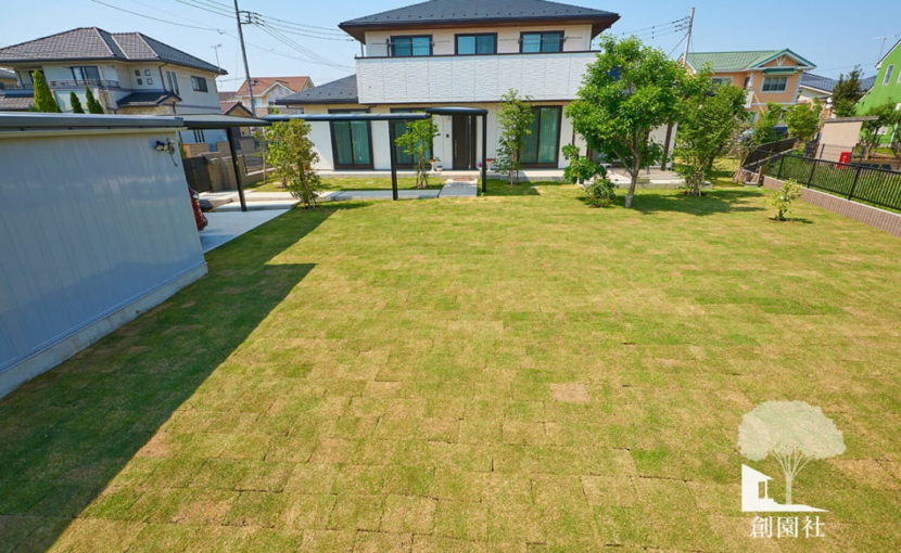 伊勢崎市　天然芝