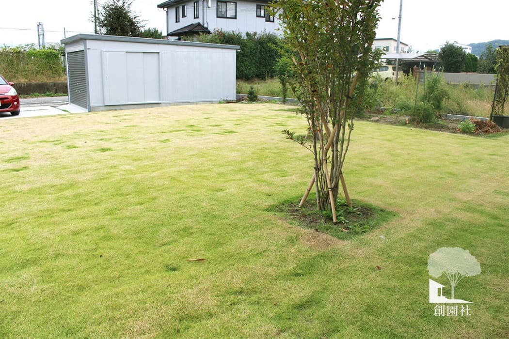 高崎市　天然芝　シンボルツリー