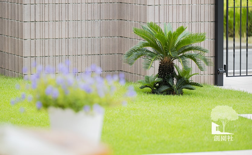 群馬県　高崎市　外構　創園社　植栽