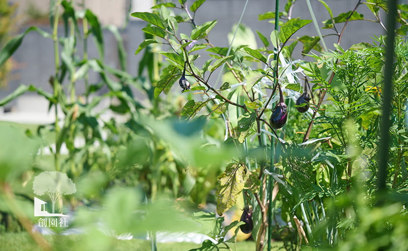 外構リフォーム　高崎